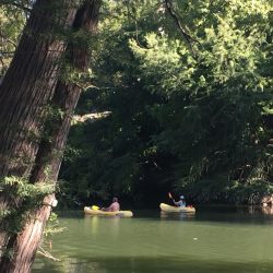 Kayaking the Guadalupe